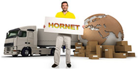 Agencja Hornet